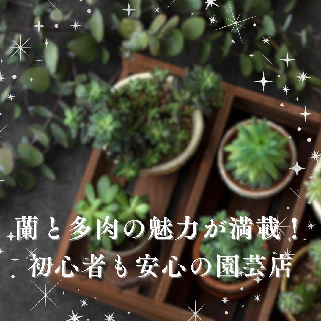 popup_banner