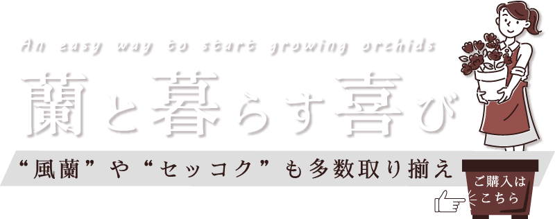 蘭と暮らす喜び