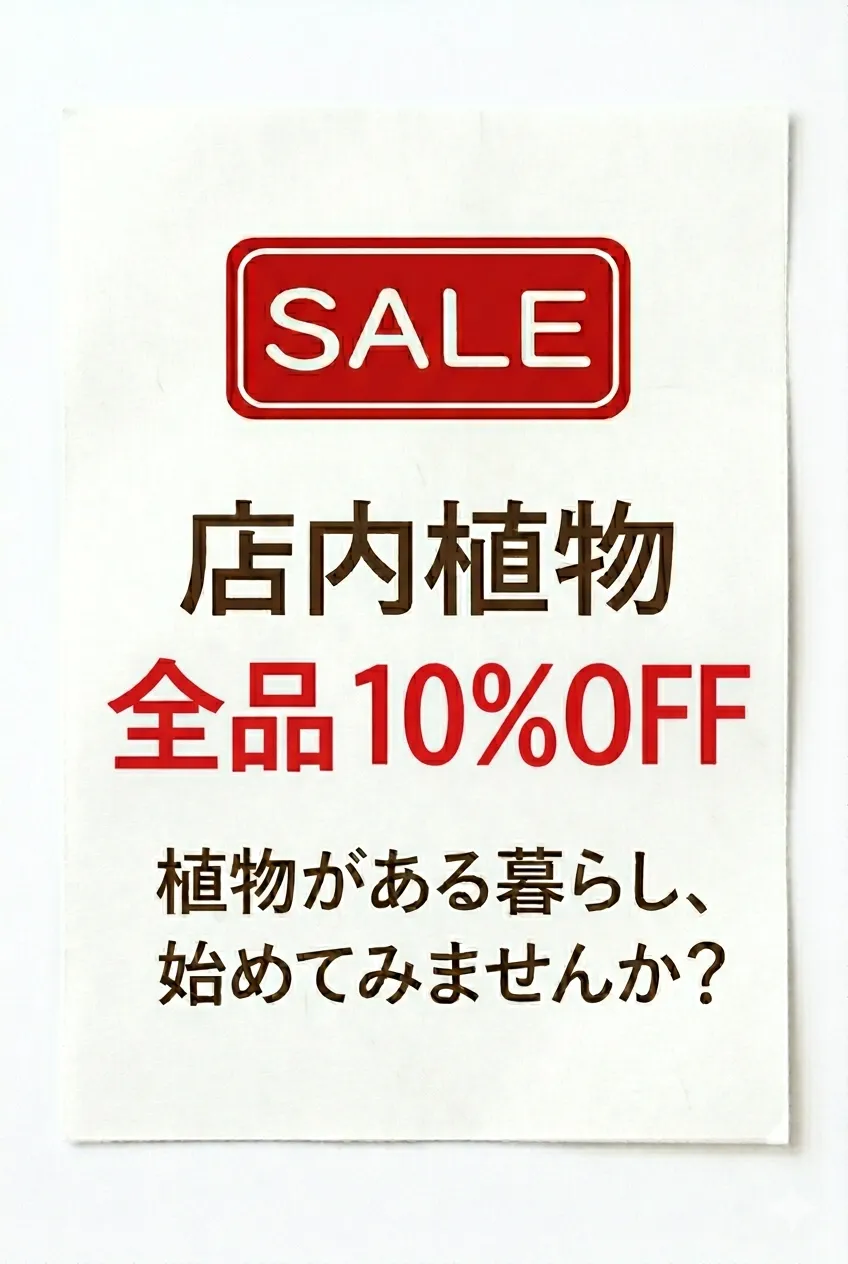 店内植物 全品10%オフセール開催のお知らせ