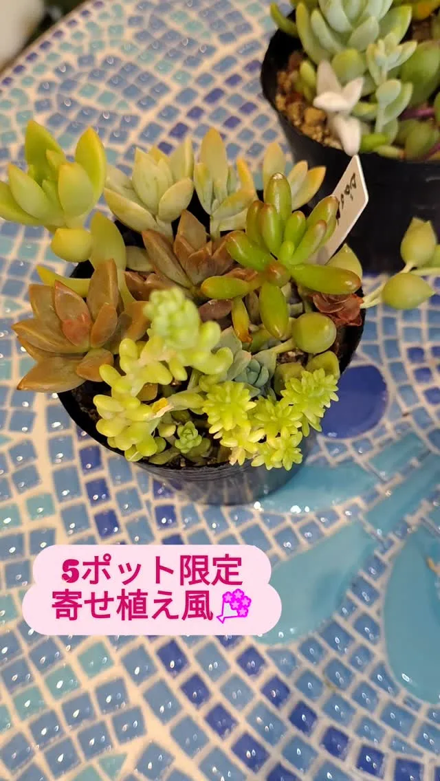@cocoro_a2ko「ECサイトはこちらから」