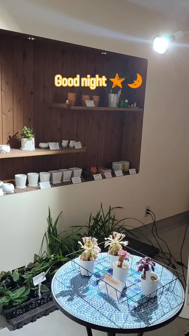 閉店後の店内、チラ見せ