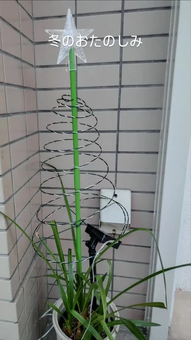 1足早いクリスマス