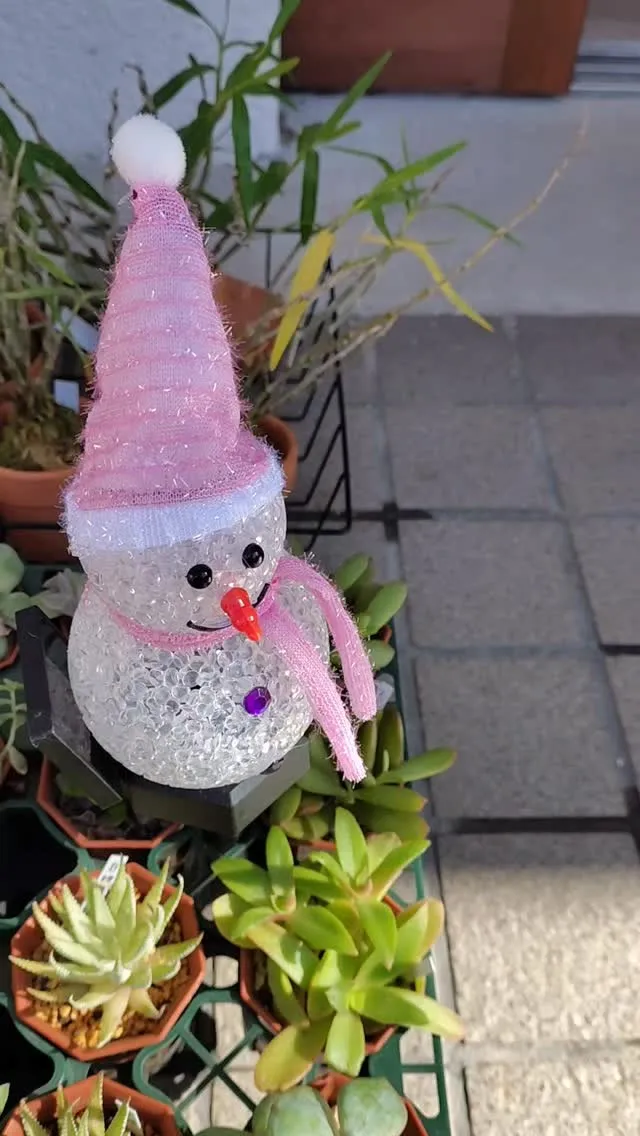 かわいいお仲間が増えました