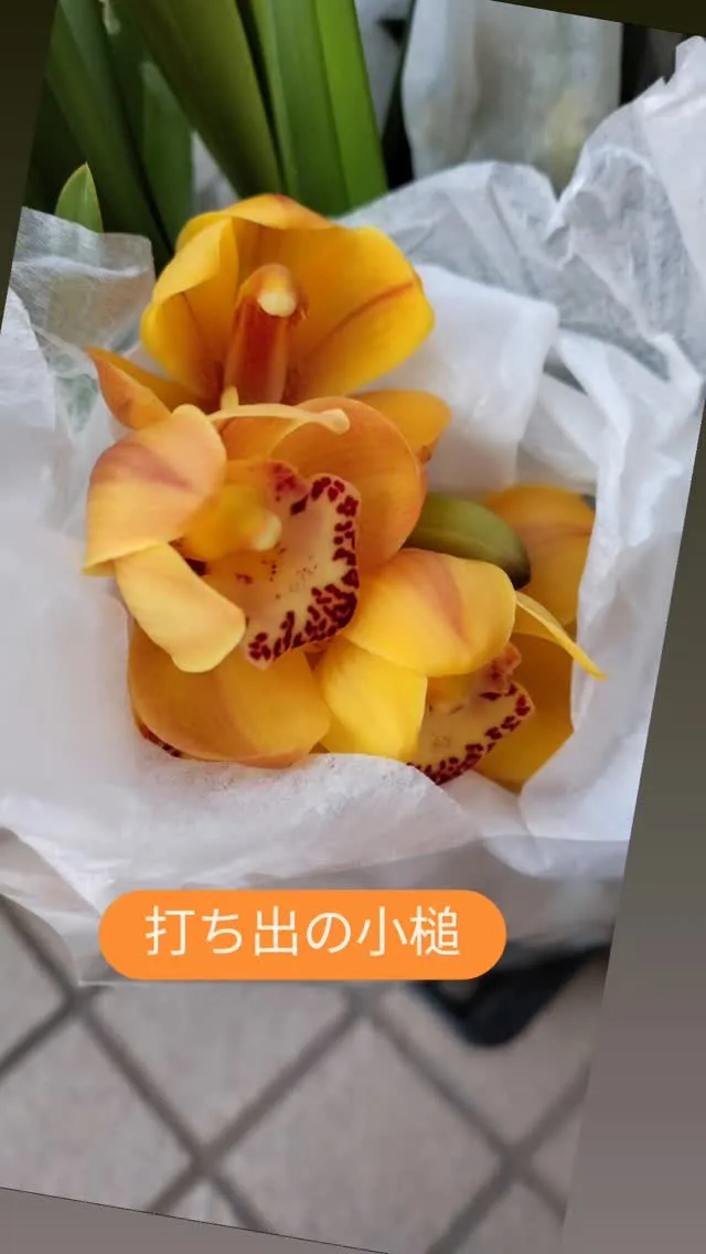 縁起物にもおすすめです